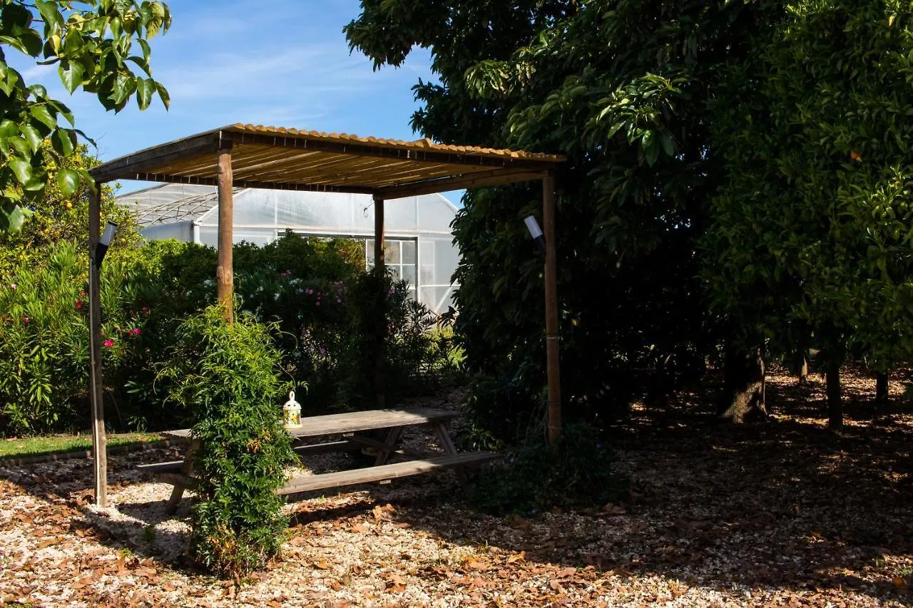 Country house Tapada Dos Machados Guest House Donalda